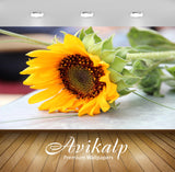 Avikalp Exclusive Premium sun HD Wallpapers for Living room, Hall, Kids Room, Kitchen, TV Background Avikalp Exclusive Premium sun HD Wallpapers for Living room, Hall, Kids Room, Kitchen, TV Background