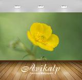 Avikalp Exclusive Premium buttercup HD Wallpapers for Living room, Hall, Kids Room, Kitchen, TV Back Avikalp Exclusive Premium buttercup HD Wallpapers for Living room, Hall, Kids Room, Kitchen, TV Back