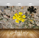 Avikalp Exclusive Premium turkey HD Wallpapers for Living room, Hall, Kids Room, Kitchen, TV Backgro Avikalp Exclusive Premium turkey HD Wallpapers for Living room, Hall, Kids Room, Kitchen, TV Backgro