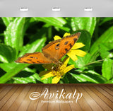 Avikalp Exclusive Premium butterfly HD Wallpapers for Living room, Hall, Kids Room, Kitchen, TV Back Avikalp Exclusive Premium butterfly HD Wallpapers for Living room, Hall, Kids Room, Kitchen, TV Back