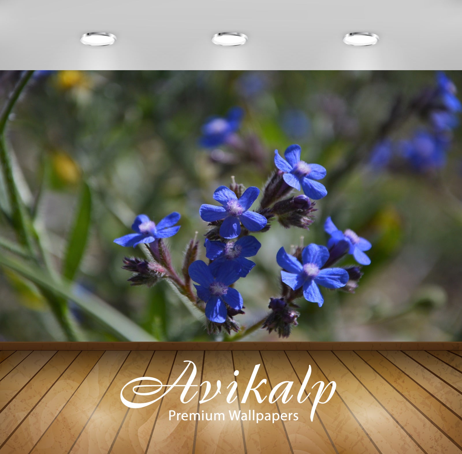 Avikalp Exclusive Premium turkey HD Wallpapers for Living room, Hall, Kids Room, Kitchen, TV Backgro Avikalp Exclusive Premium turkey HD Wallpapers for Living room, Hall, Kids Room, Kitchen, TV Backgro