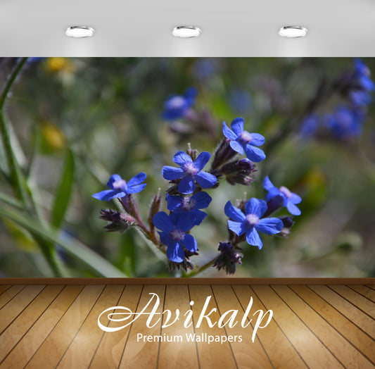 Avikalp Exclusive Premium turkey HD Wallpapers for Living room, Hall, Kids Room, Kitchen, TV Backgro