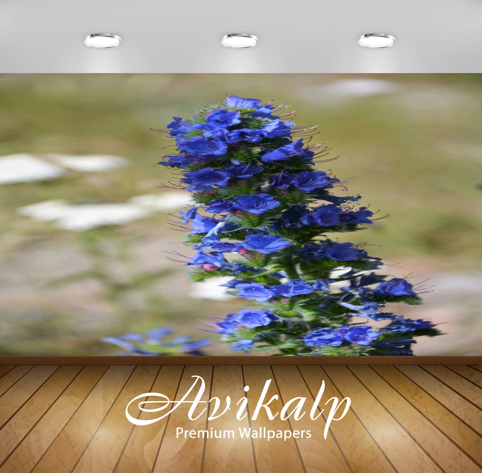 Avikalp Exclusive Premium turkey HD Wallpapers for Living room, Hall, Kids Room, Kitchen, TV Backgro Avikalp Exclusive Premium turkey HD Wallpapers for Living room, Hall, Kids Room, Kitchen, TV Backgro