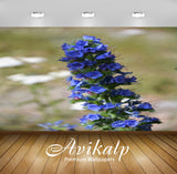 Avikalp Exclusive Premium turkey HD Wallpapers for Living room, Hall, Kids Room, Kitchen, TV Backgro Avikalp Exclusive Premium turkey HD Wallpapers for Living room, Hall, Kids Room, Kitchen, TV Backgro