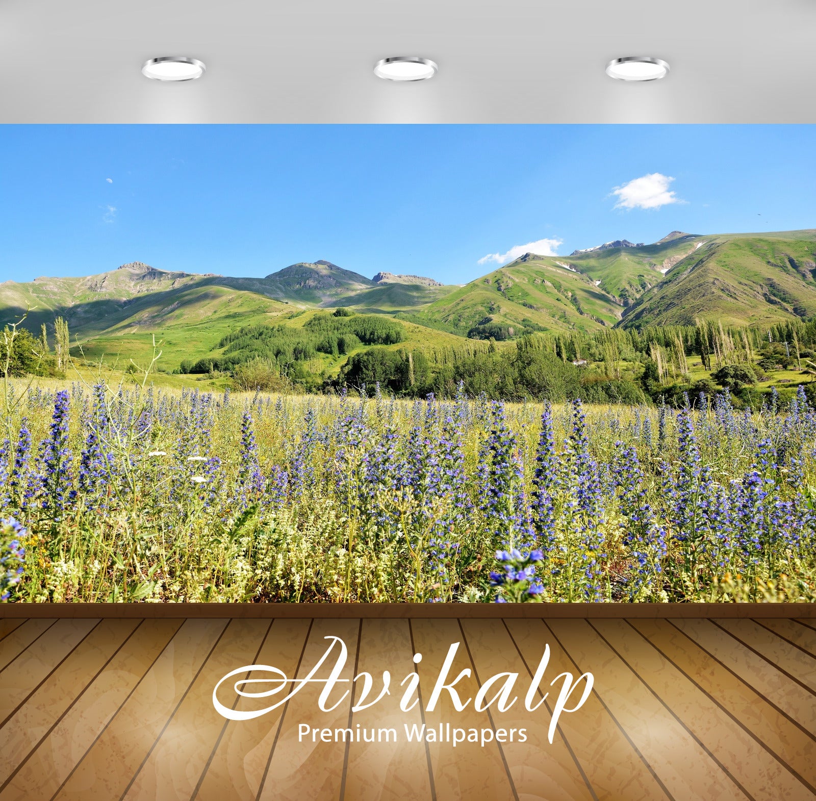 Avikalp Exclusive Premium turkey HD Wallpapers for Living room, Hall, Kids Room, Kitchen, TV Backgro Avikalp Exclusive Premium turkey HD Wallpapers for Living room, Hall, Kids Room, Kitchen, TV Backgro