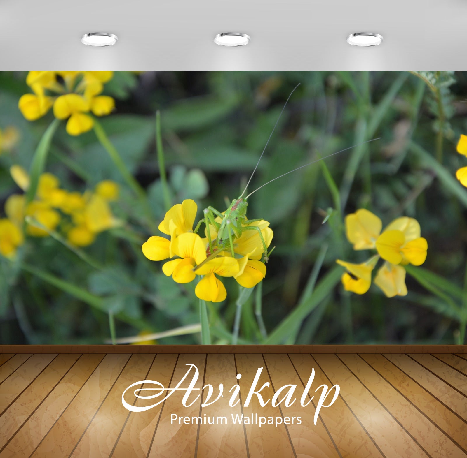 Avikalp Exclusive Premium turkey HD Wallpapers for Living room, Hall, Kids Room, Kitchen, TV Backgro Avikalp Exclusive Premium turkey HD Wallpapers for Living room, Hall, Kids Room, Kitchen, TV Backgro