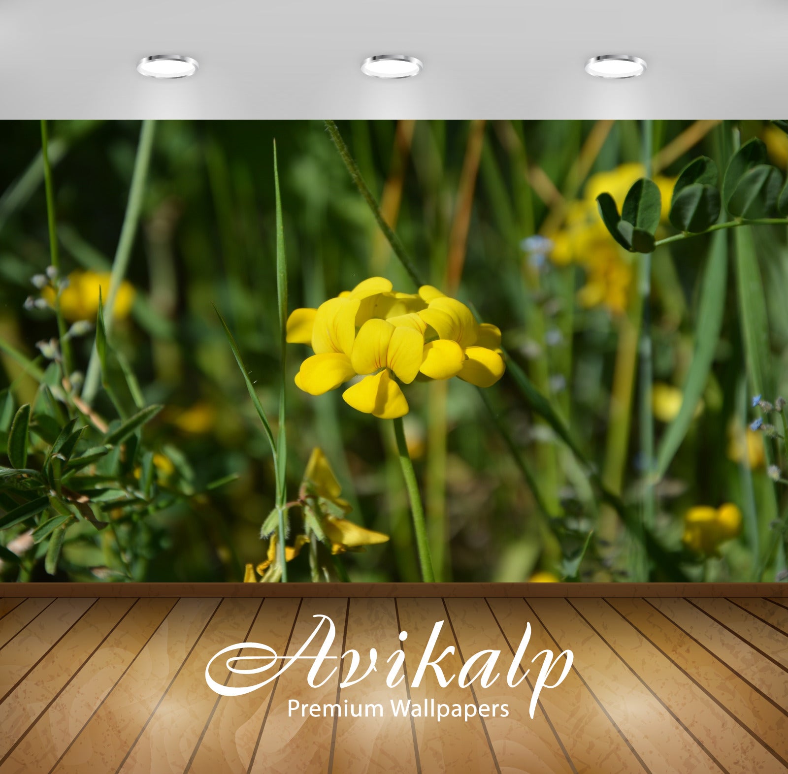 Avikalp Exclusive Premium turkey HD Wallpapers for Living room, Hall, Kids Room, Kitchen, TV Backgro Avikalp Exclusive Premium turkey HD Wallpapers for Living room, Hall, Kids Room, Kitchen, TV Backgro