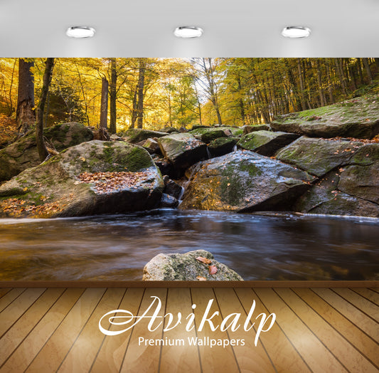 Avikalp Exclusive Awi4768 Fall Foliage Waterfall Nature Mountain Full HD Wallpapers for Living room,