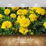 Avikalp Exclusive Premium carnations HD Wallpapers for Living room, Hall, Kids Room, Kitchen, TV Bac Avikalp Exclusive Premium carnations HD Wallpapers for Living room, Hall, Kids Room, Kitchen, TV Bac