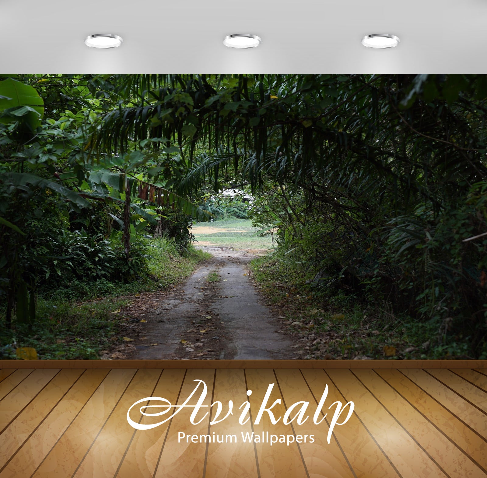 Avikalp Exclusive Awi4978 Country Road Waterfall Mountain Full HD Wallpapers for Living room, Hall, Avikalp Exclusive Awi4978 Country Road Waterfall Mountain Full HD Wallpapers for Living room, Hall,