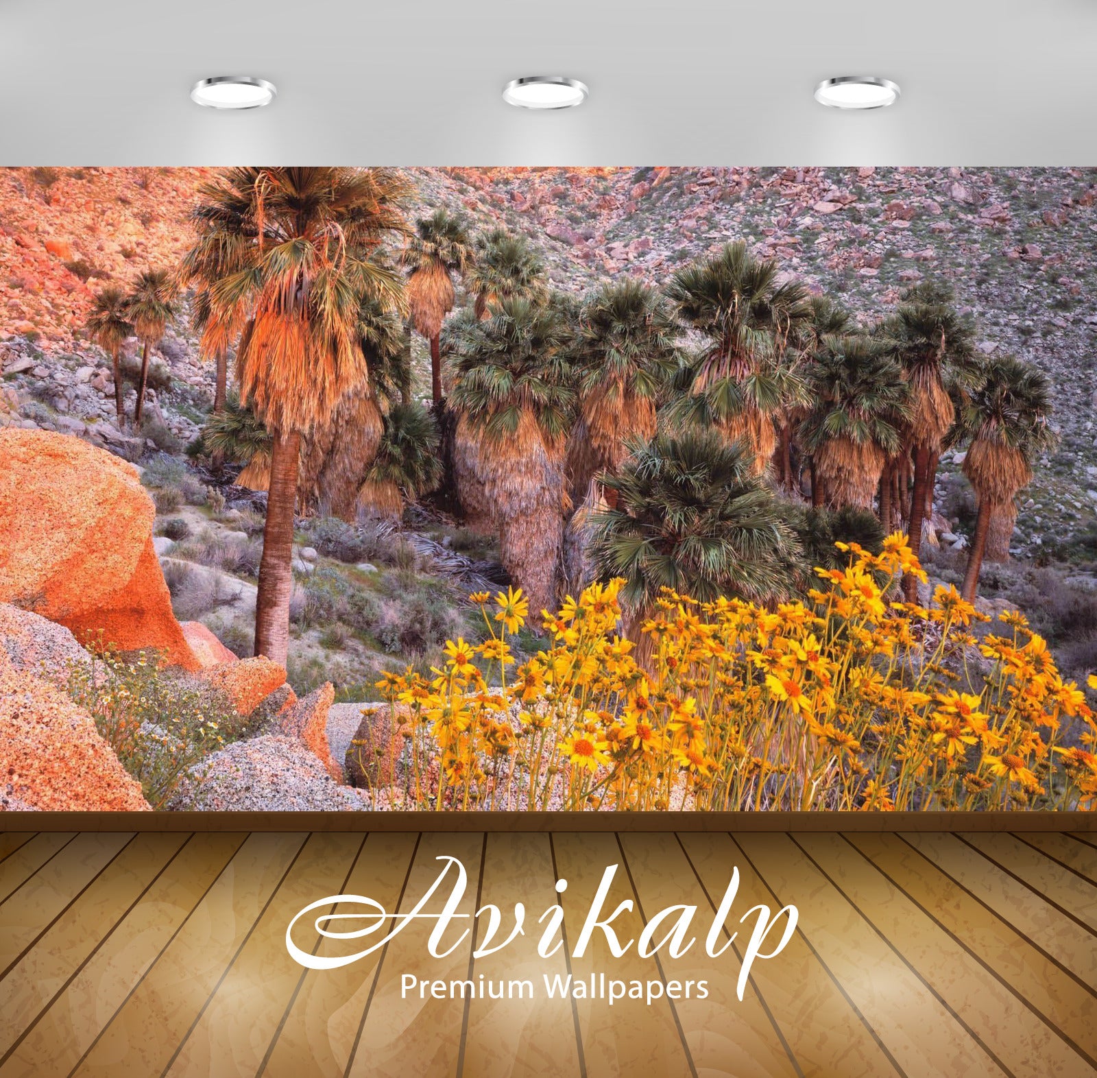 Avikalp Exclusive Awi5102 Anza Borrego Desert State Park Nature Full HD Wallpapers for Living room, Avikalp Exclusive Awi5102 Anza Borrego Desert State Park Nature Full HD Wallpapers for Living room,