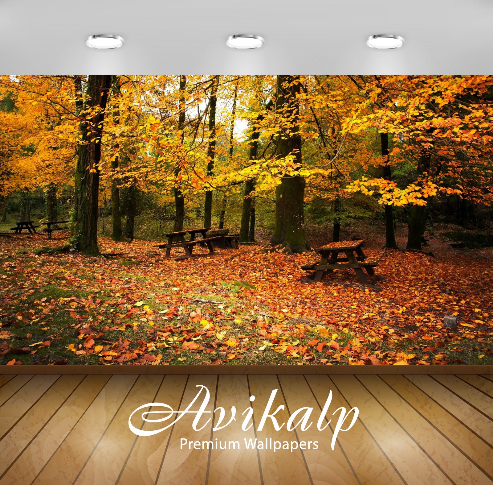 Avikalp Exclusive Awi5140 Autumn In The Forest Nature Full HD Wallpapers for Living room, Hall, Kids Avikalp Exclusive Awi5140 Autumn In The Forest Nature Full HD Wallpapers for Living room, Hall, Kids