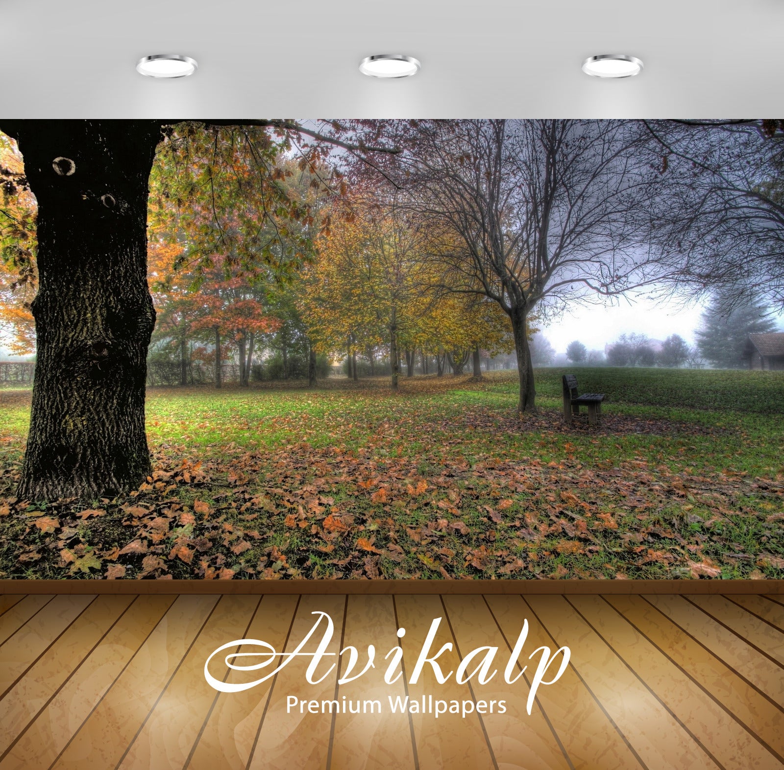 Avikalp Exclusive Awi5142 Autumn In The Park Nature Full HD Wallpapers for Living room, Hall, Kids R Avikalp Exclusive Awi5142 Autumn In The Park Nature Full HD Wallpapers for Living room, Hall, Kids R