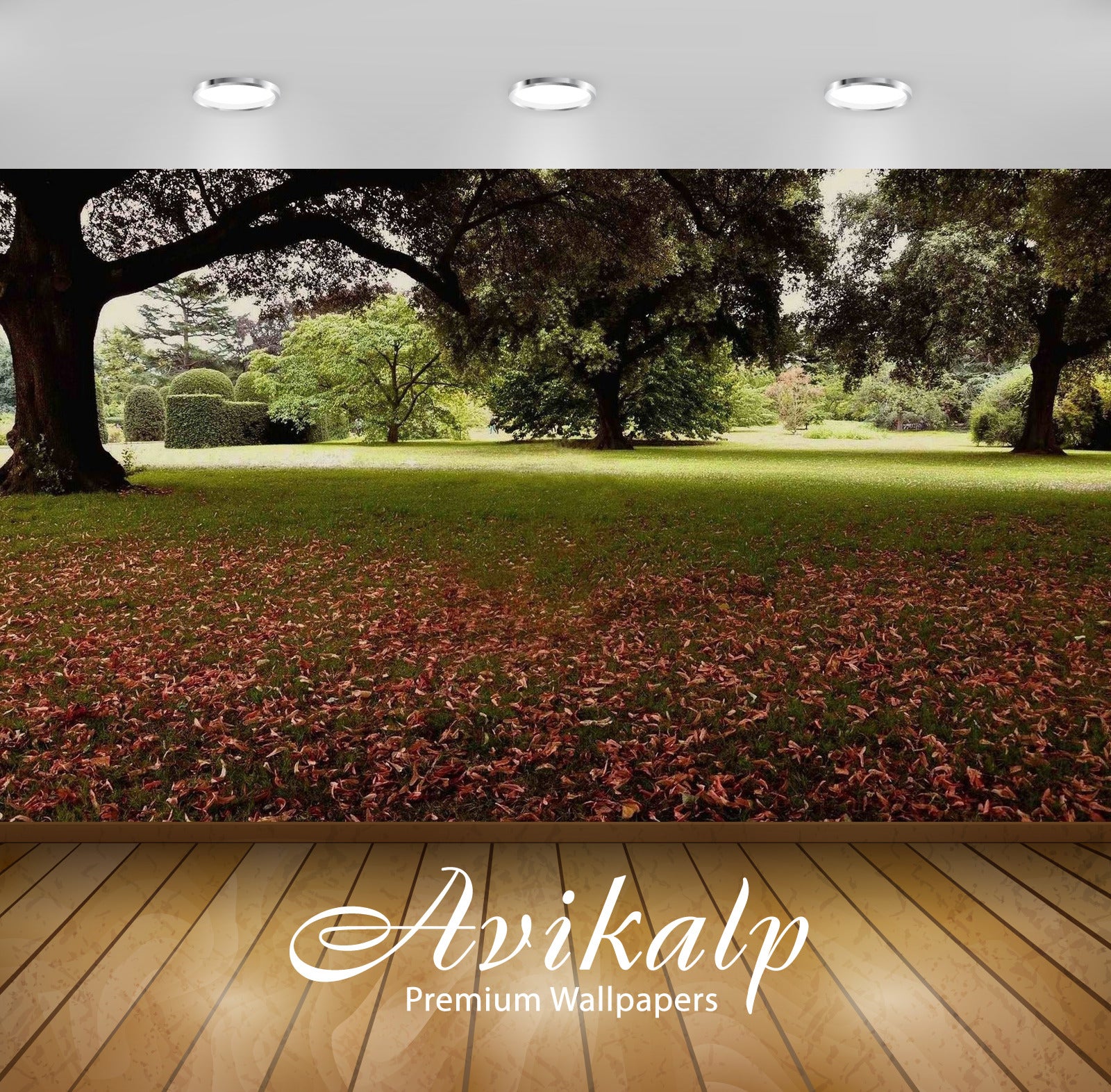 Avikalp Exclusive Awi5146 Autumn Leaves In The Garden Nature Full HD Wallpapers for Living room, Hal Avikalp Exclusive Awi5146 Autumn Leaves In The Garden Nature Full HD Wallpapers for Living room, Hal