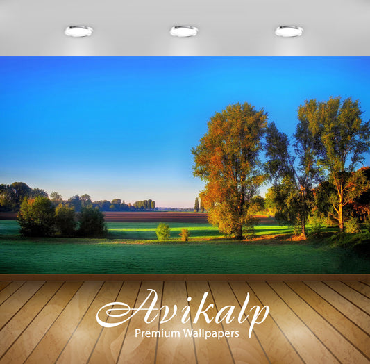 Avikalp Exclusive Awi5158 Autumn Trees Nature Full HD Wallpapers for Living room, Hall, Kids Room, K