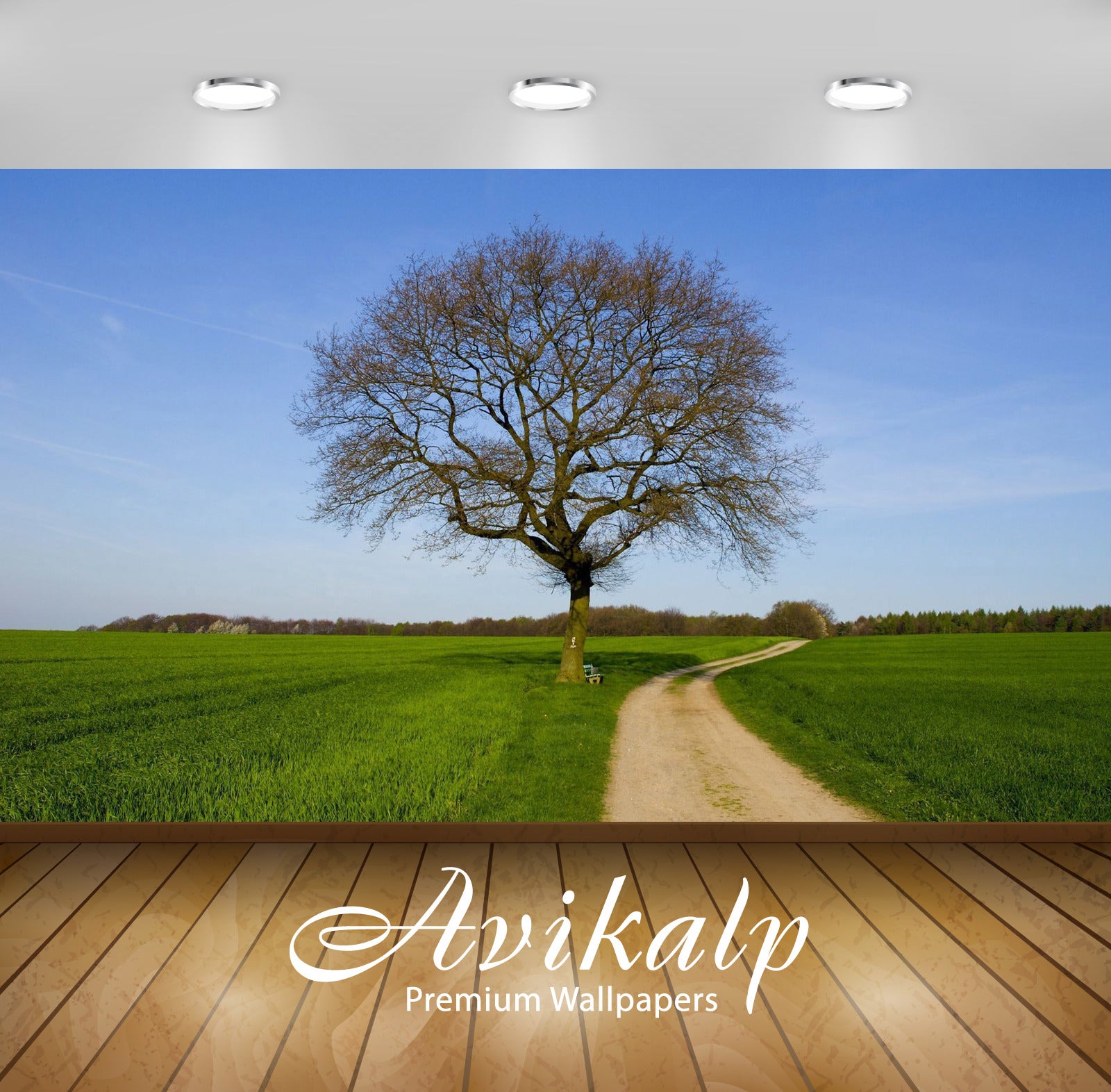 Avikalp Exclusive Awi5226 Bench Under The Lonesome Tree Nature Full HD Wallpapers for Living room, H Avikalp Exclusive Awi5226 Bench Under The Lonesome Tree Nature Full HD Wallpapers for Living room, H