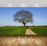 Avikalp Exclusive Awi5226 Bench Under The Lonesome Tree Nature Full HD Wallpapers for Living room, H Avikalp Exclusive Awi5226 Bench Under The Lonesome Tree Nature Full HD Wallpapers for Living room, H