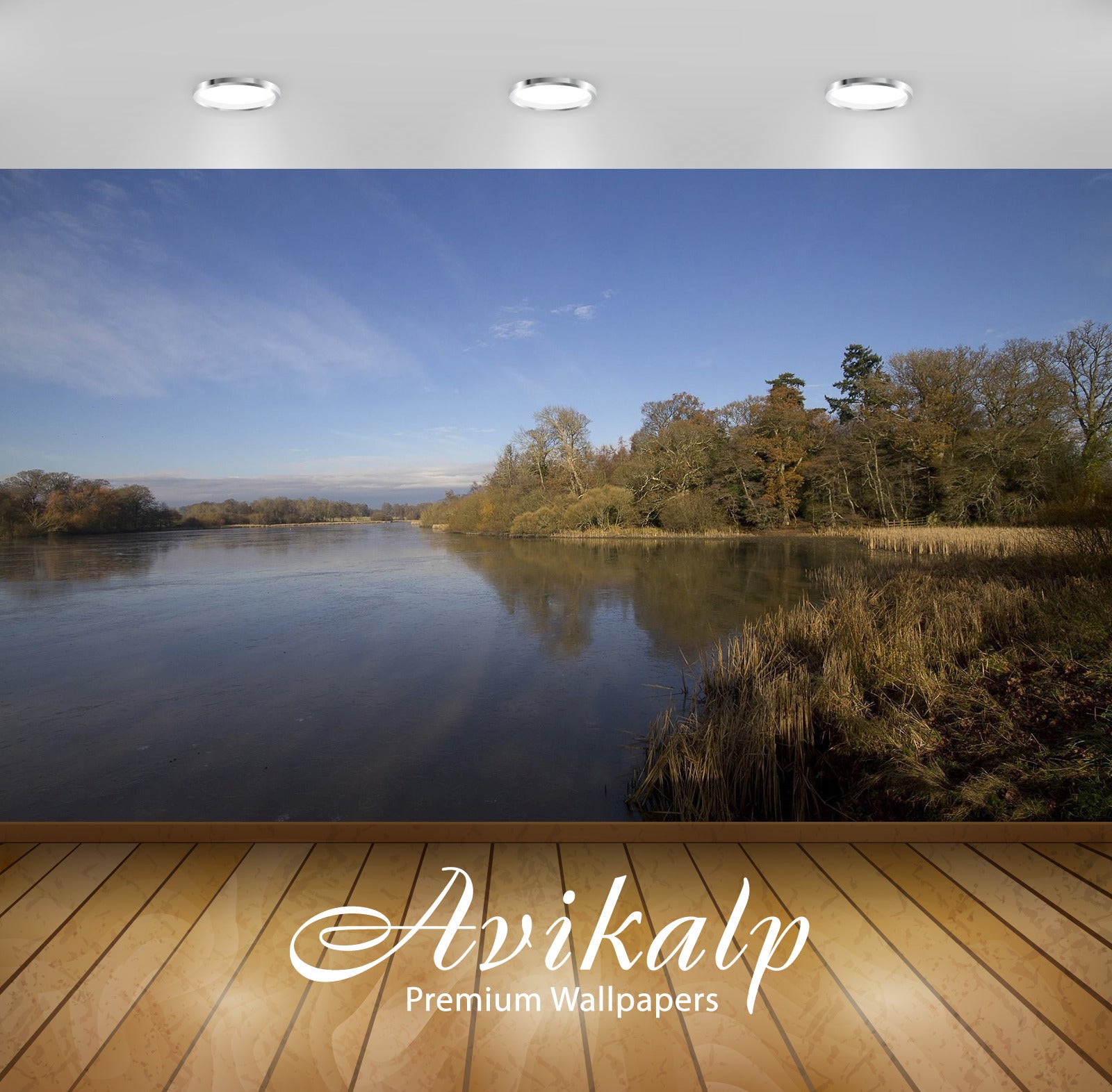 Avikalp Exclusive Awi5242 Blue Clear Sky Above The Autumn Trees Nature Full HD Wallpapers for Living Avikalp Exclusive Awi5242 Blue Clear Sky Above The Autumn Trees Nature Full HD Wallpapers for Living