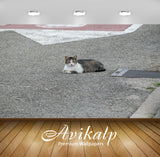 Avikalp Exclusive Premium cat HD Wallpapers for Living room, Hall, Kids Room, Kitchen, TV Background Avikalp Exclusive Premium cat HD Wallpapers for Living room, Hall, Kids Room, Kitchen, TV Background