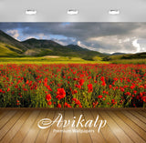 Avikalp Exclusive Awi5370 Dark Clouds Above The Poppy Field Nature Full HD Wallpapers for Living roo Avikalp Exclusive Awi5370 Dark Clouds Above The Poppy Field Nature Full HD Wallpapers for Living roo