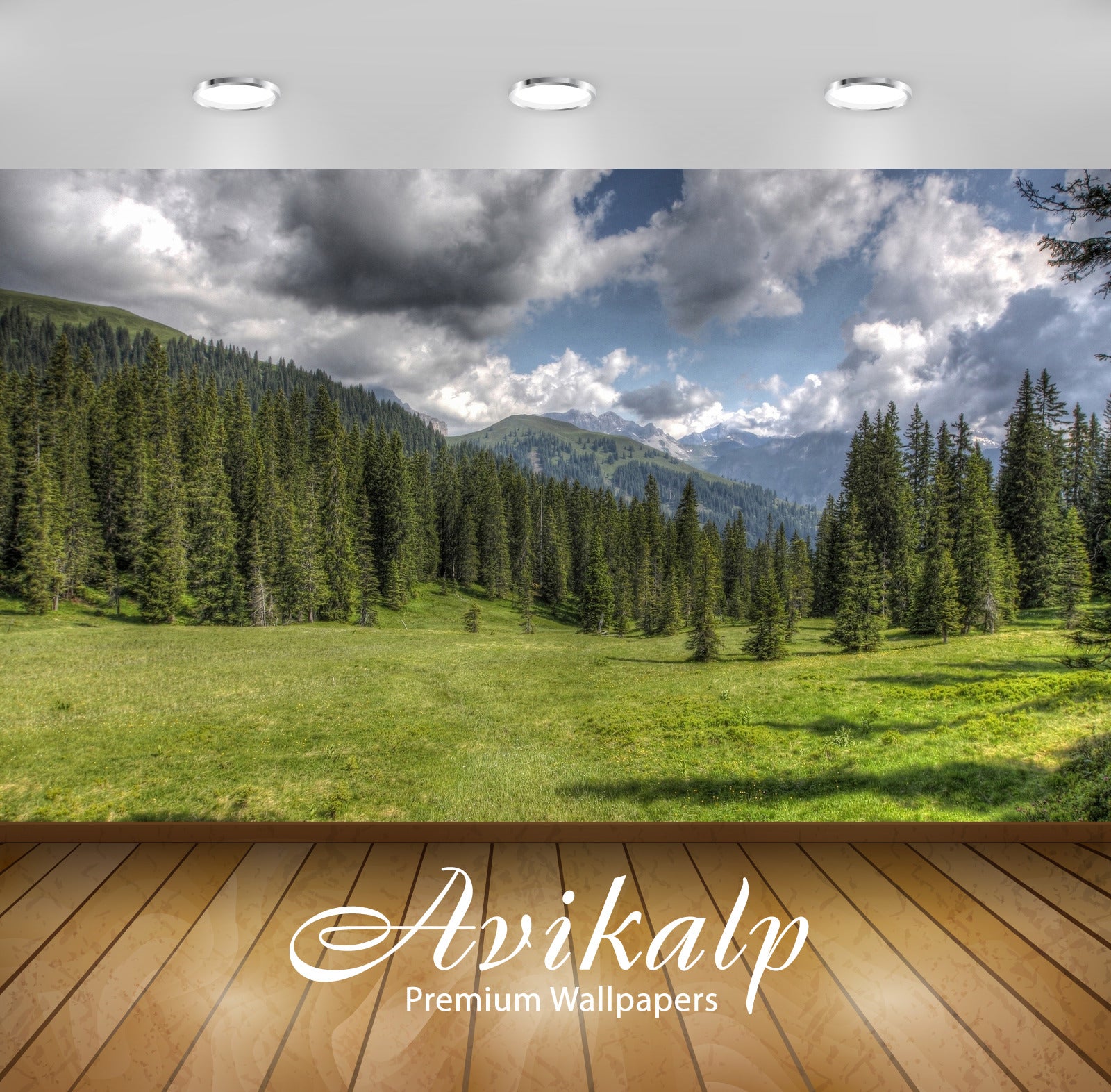 Avikalp Exclusive Awi5374 Dark Heavy Clouds Above The Green Trees Nature Full HD Wallpapers for Livi Avikalp Exclusive Awi5374 Dark Heavy Clouds Above The Green Trees Nature Full HD Wallpapers for Livi