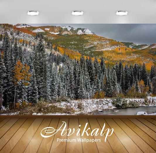 Avikalp Exclusive Awi5404 First Snow On Autumn Forest Nature Full HD Wallpapers for Living room, Hal