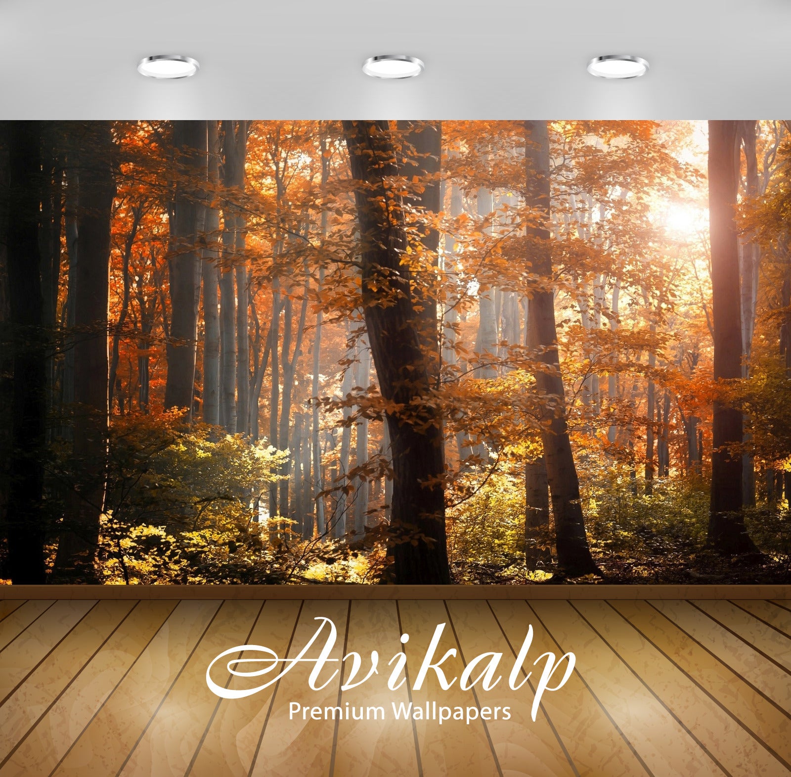 Avikalp Exclusive Awi5438 Foggy Autumn Forest Nature Full HD Wallpapers for Living room, Hall, Kids Avikalp Exclusive Awi5438 Foggy Autumn Forest Nature Full HD Wallpapers for Living room, Hall, Kids