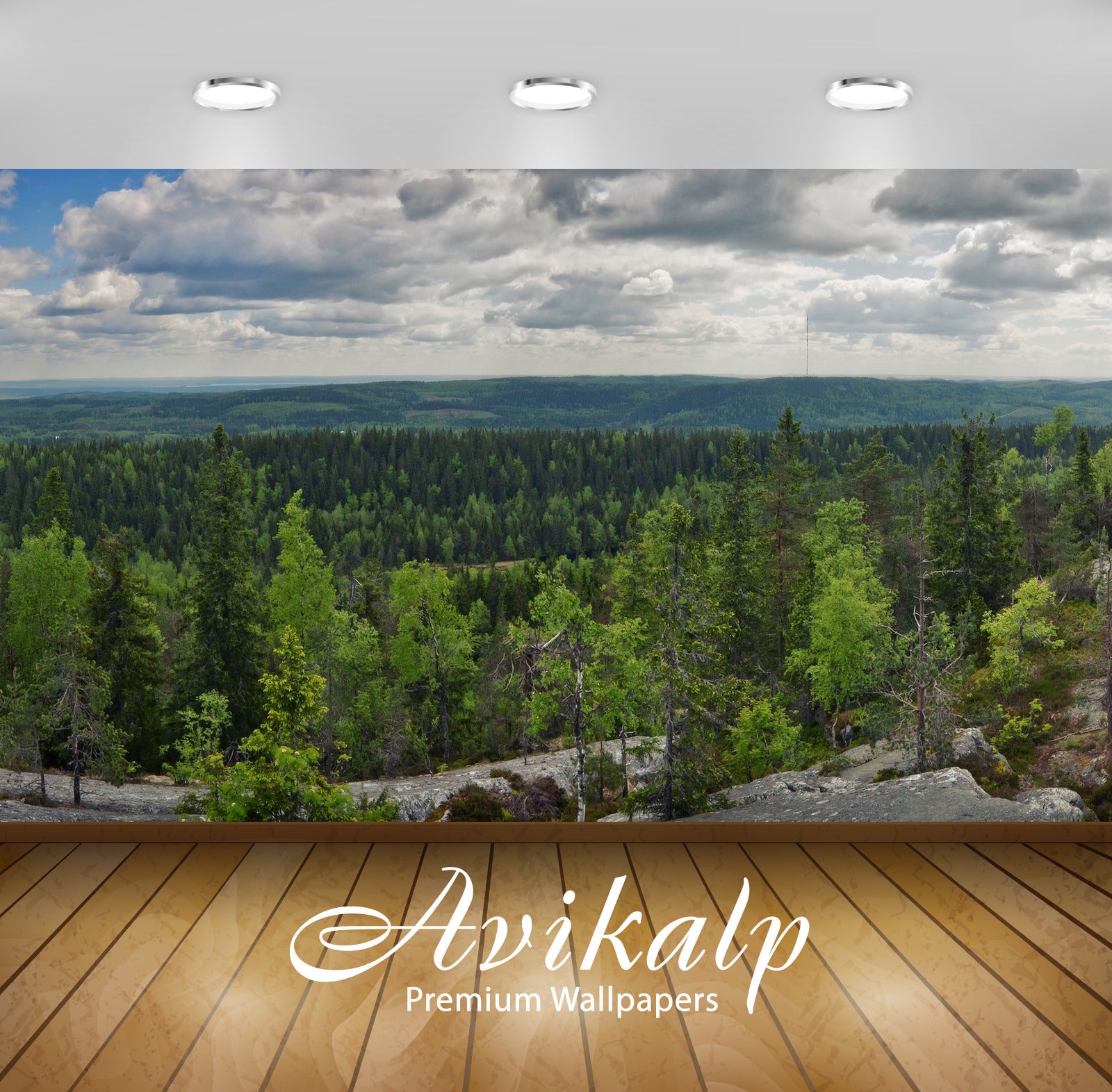 Avikalp Exclusive Awi5462 Forest On Rocky Mountain Nature Full HD Wallpapers for Living room, Hall, Avikalp Exclusive Awi5462 Forest On Rocky Mountain Nature Full HD Wallpapers for Living room, Hall,