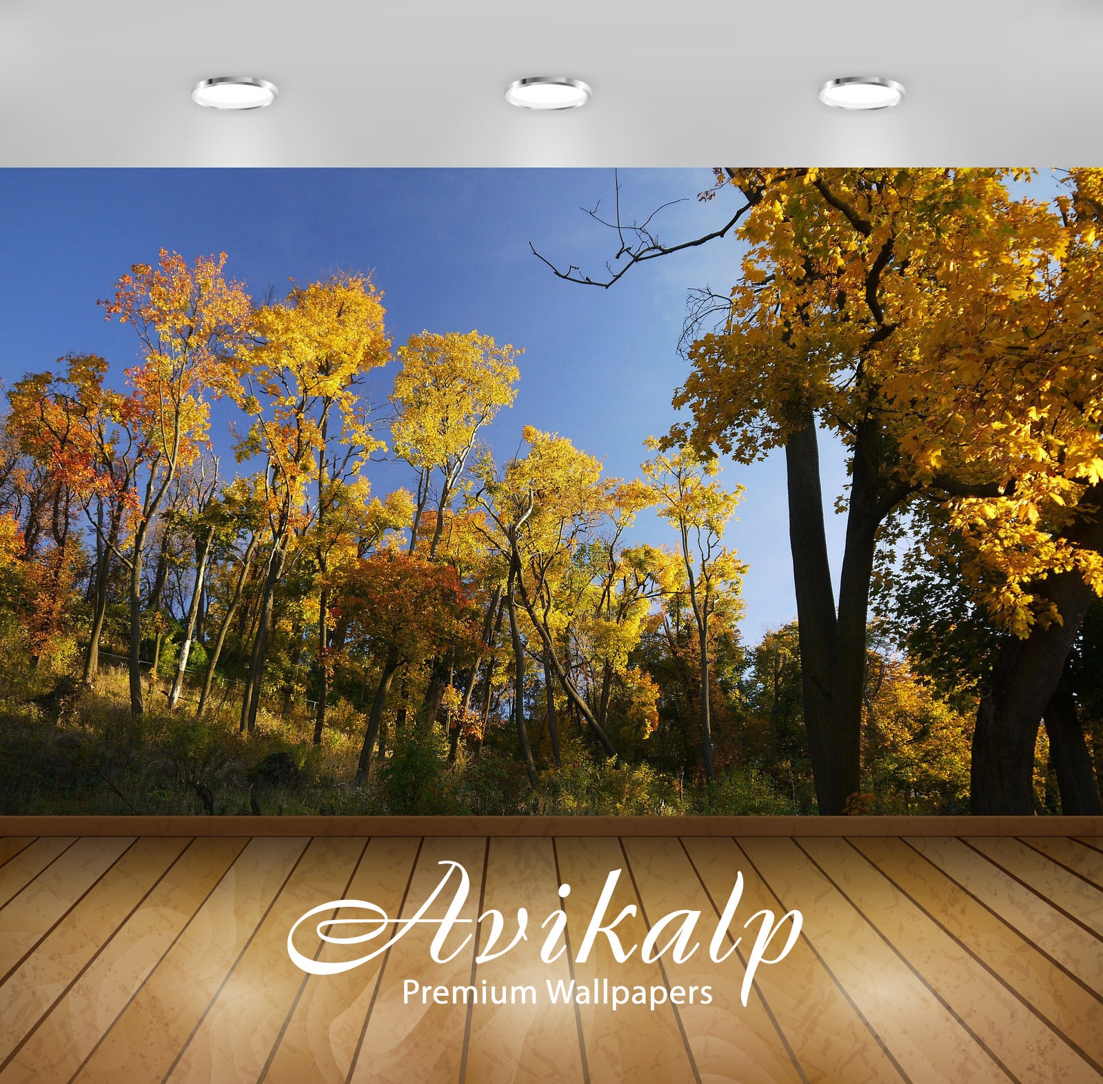 Avikalp Exclusive Awi5526 Golden Trees Nature Full HD Wallpapers for Living room, Hall, Kids Room, K Avikalp Exclusive Awi5526 Golden Trees Nature Full HD Wallpapers for Living room, Hall, Kids Room, K