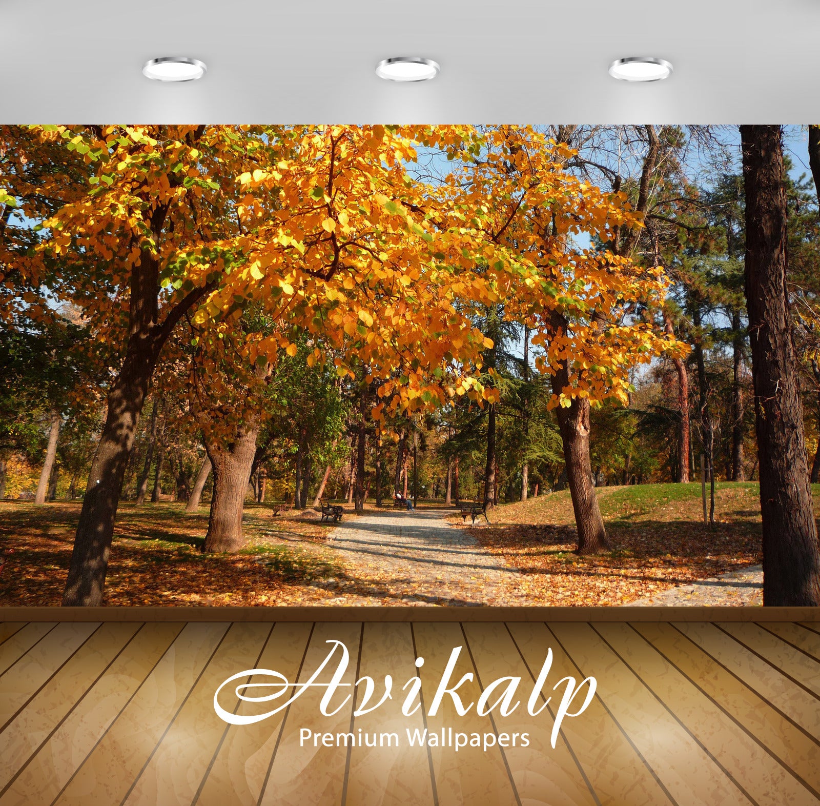 Avikalp Exclusive Awi5527 Golden Trees In The Park Nature Full HD Wallpapers for Living room, Hall, Avikalp Exclusive Awi5527 Golden Trees In The Park Nature Full HD Wallpapers for Living room, Hall,