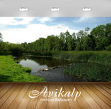 Avikalp Exclusive Awi5537 Grass And Rock In The River Nature Full HD Wallpapers for Living room, Hal Avikalp Exclusive Awi5537 Grass And Rock In The River Nature Full HD Wallpapers for Living room, Hal