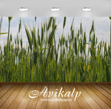 Avikalp Exclusive Awi5539 Grass Spikes Nature Full HD Wallpapers for Living room, Hall, Kids Room, K Avikalp Exclusive Awi5539 Grass Spikes Nature Full HD Wallpapers for Living room, Hall, Kids Room, K