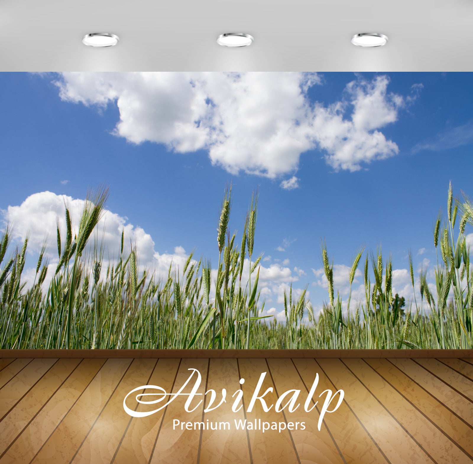 Avikalp Exclusive Awi5540 Grass Spikes On The Field Nature Full HD Wallpapers for Living room, Hall, Avikalp Exclusive Awi5540 Grass Spikes On The Field Nature Full HD Wallpapers for Living room, Hall,