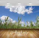 Avikalp Exclusive Awi5540 Grass Spikes On The Field Nature Full HD Wallpapers for Living room, Hall, Avikalp Exclusive Awi5540 Grass Spikes On The Field Nature Full HD Wallpapers for Living room, Hall,