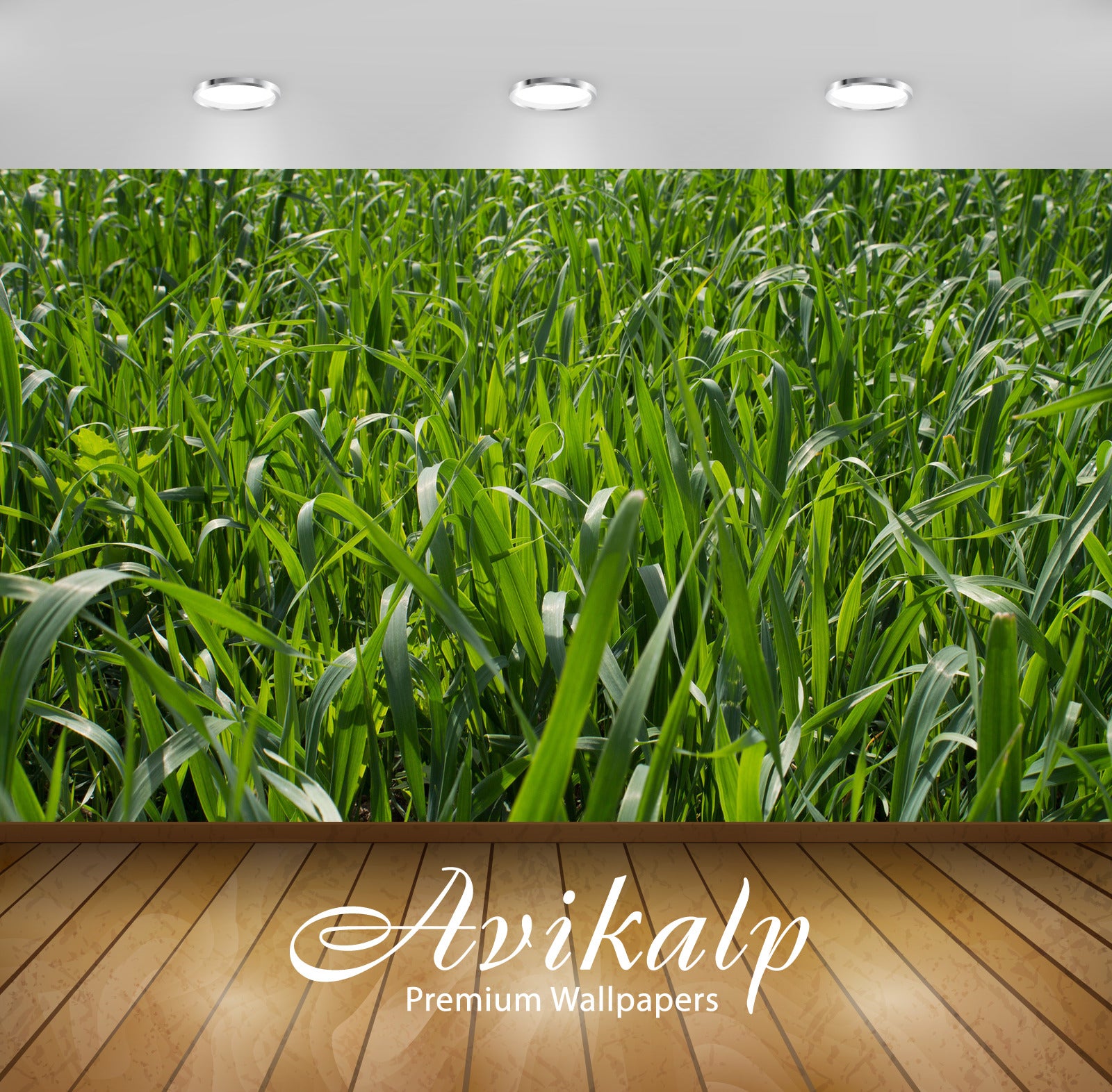 Avikalp Exclusive Awi5570 Green Grass Nature Full HD Wallpapers for Living room, Hall, Kids Room, Ki Avikalp Exclusive Awi5570 Green Grass Nature Full HD Wallpapers for Living room, Hall, Kids Room, Ki