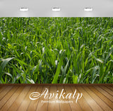 Avikalp Exclusive Awi5570 Green Grass Nature Full HD Wallpapers for Living room, Hall, Kids Room, Ki Avikalp Exclusive Awi5570 Green Grass Nature Full HD Wallpapers for Living room, Hall, Kids Room, Ki
