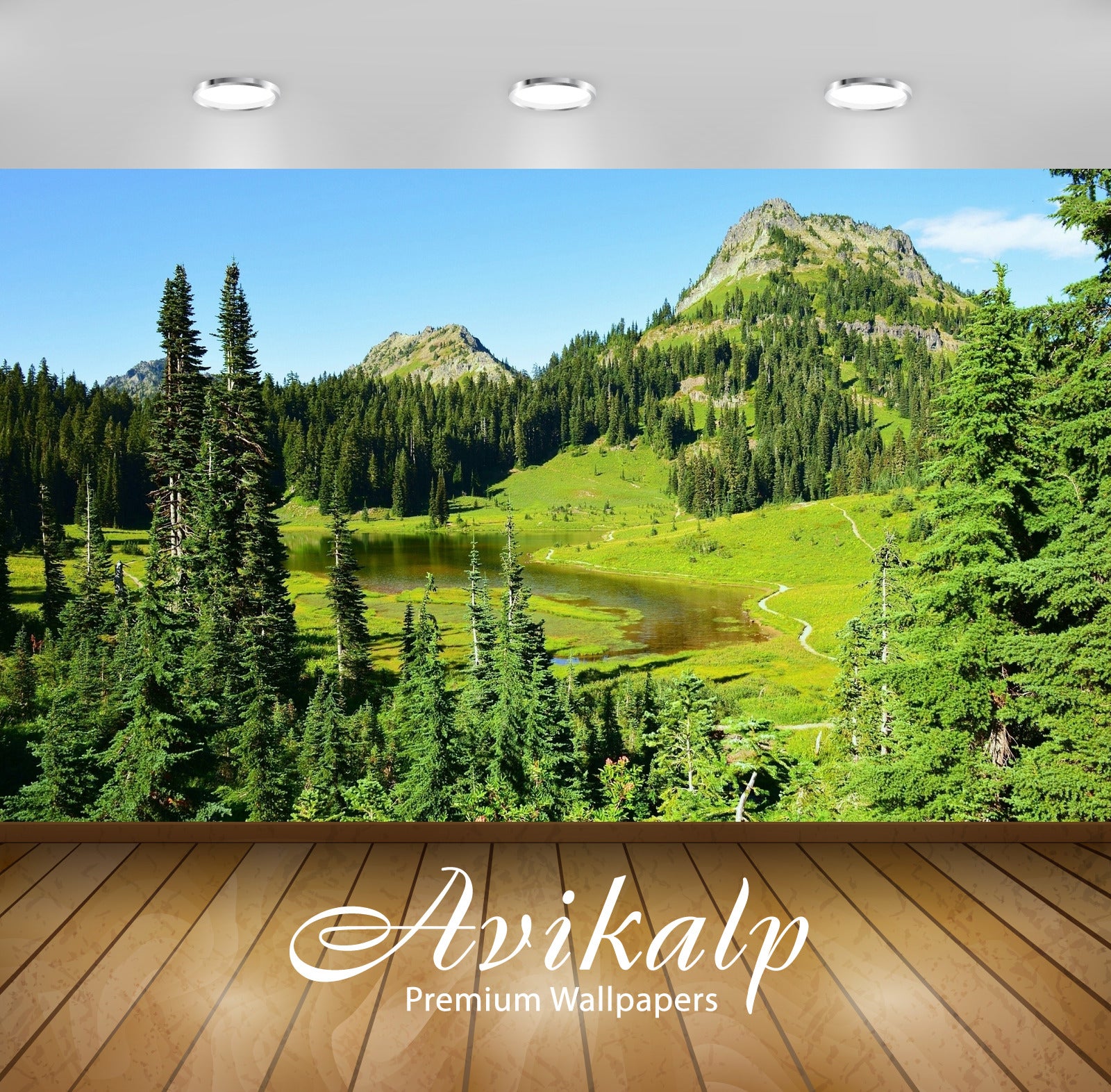 Avikalp Exclusive Awi5572 Green Lake Surrounded By The Forest Nature Full HD Wallpapers for Living r Avikalp Exclusive Awi5572 Green Lake Surrounded By The Forest Nature Full HD Wallpapers for Living r