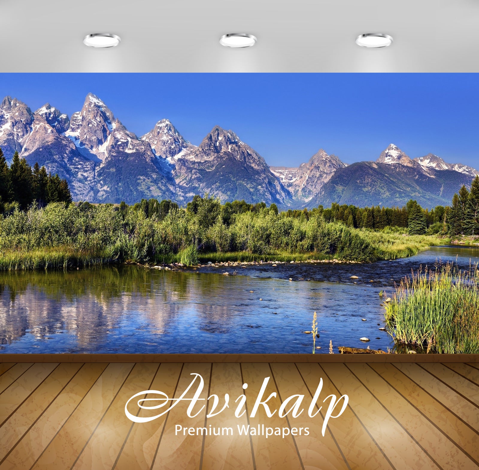 Avikalp Exclusive Awi5581 Green Nature In Grand Teton National Park Nature Full HD Wallpapers for Li Avikalp Exclusive Awi5581 Green Nature In Grand Teton National Park Nature Full HD Wallpapers for Li