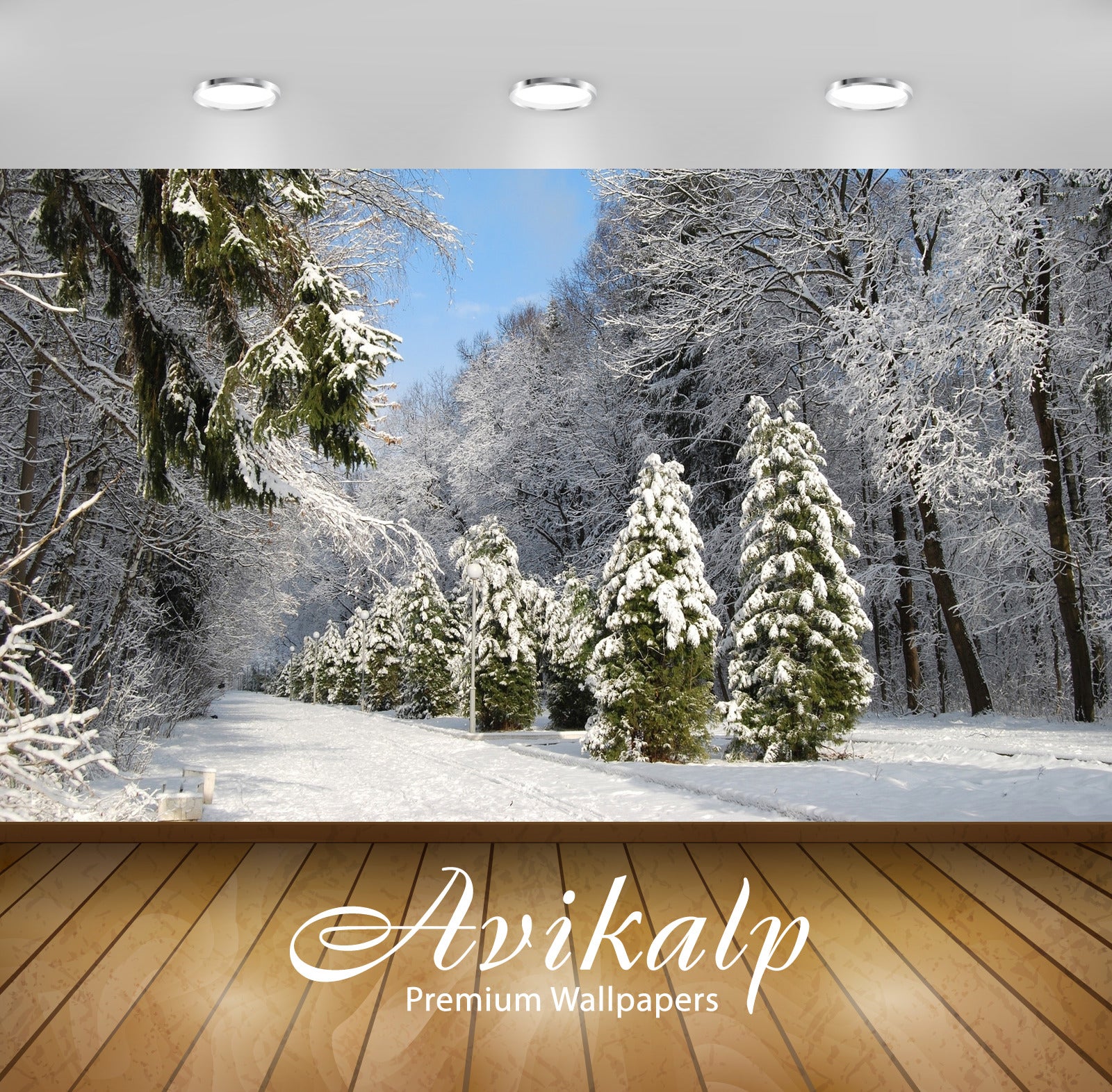 Avikalp Exclusive Awi5583 Green Pine Trees In The Middle Of The Tall Trees Nature Full HD Wallpapers Avikalp Exclusive Awi5583 Green Pine Trees In The Middle Of The Tall Trees Nature Full HD Wallpapers