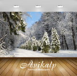 Avikalp Exclusive Awi5583 Green Pine Trees In The Middle Of The Tall Trees Nature Full HD Wallpapers Avikalp Exclusive Awi5583 Green Pine Trees In The Middle Of The Tall Trees Nature Full HD Wallpapers