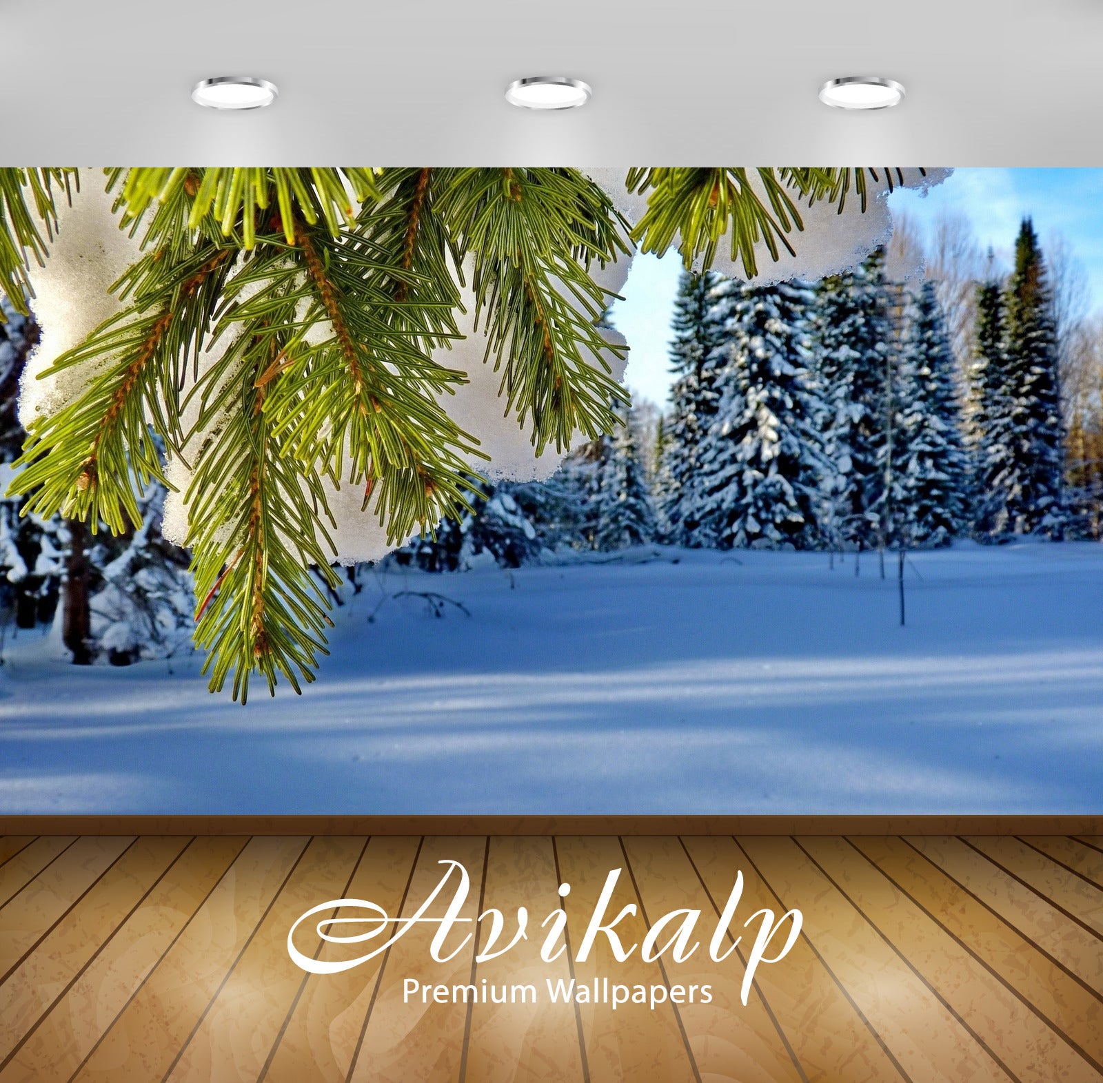 Avikalp Exclusive Awi5584 Green Pine Under The Thick Snow Nature Full HD Wallpapers for Living room, Avikalp Exclusive Awi5584 Green Pine Under The Thick Snow Nature Full HD Wallpapers for Living room,