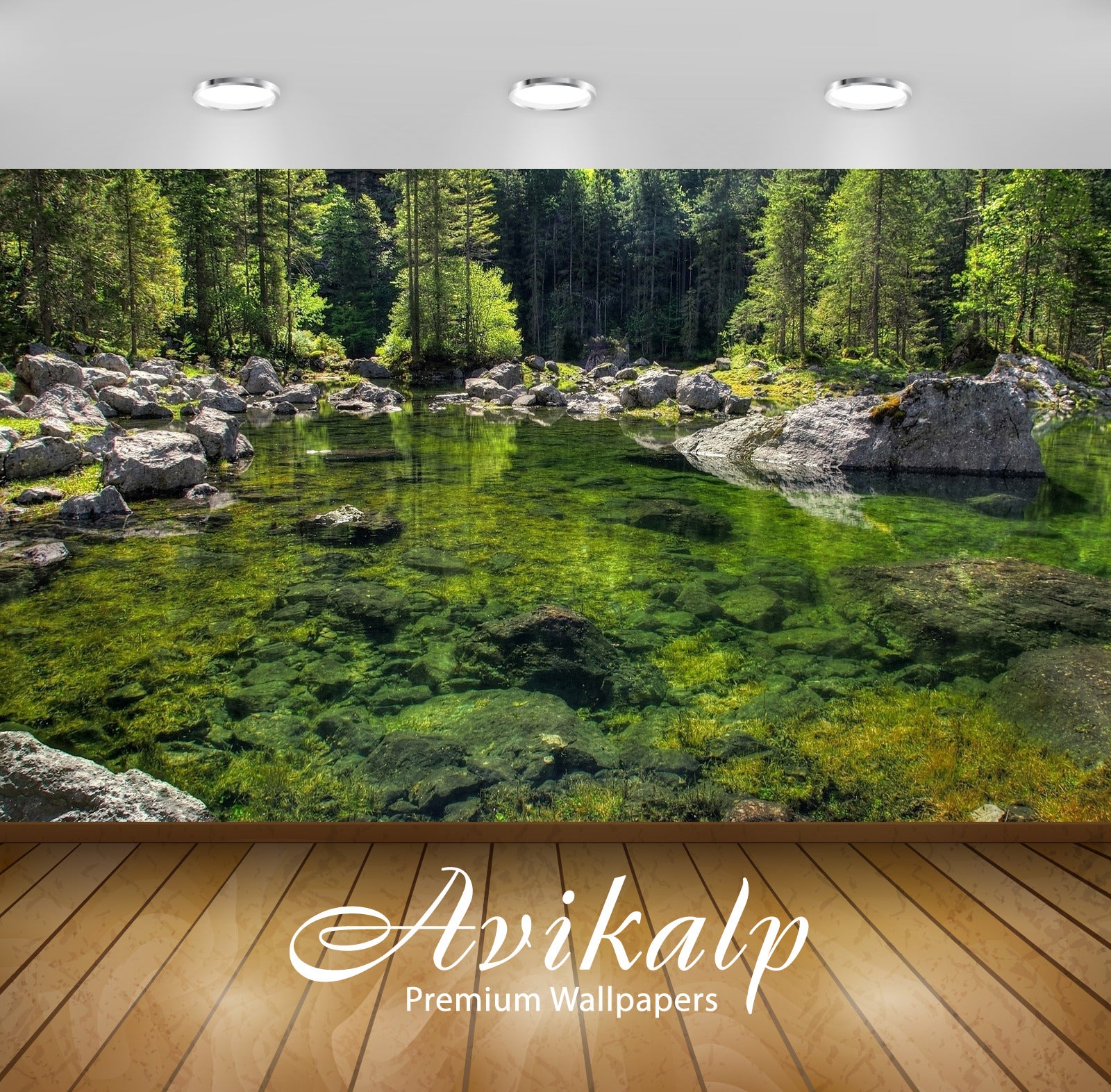 Avikalp Exclusive Awi5586 Green Rocks On The Bottom Of The Lake Nature Full HD Wallpapers for Living Avikalp Exclusive Awi5586 Green Rocks On The Bottom Of The Lake Nature Full HD Wallpapers for Living