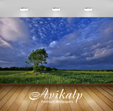 Avikalp Exclusive Awi5587 Green Tree Nature Full HD Wallpapers for Living room, Hall, Kids Room, Kit Avikalp Exclusive Awi5587 Green Tree Nature Full HD Wallpapers for Living room, Hall, Kids Room, Kit