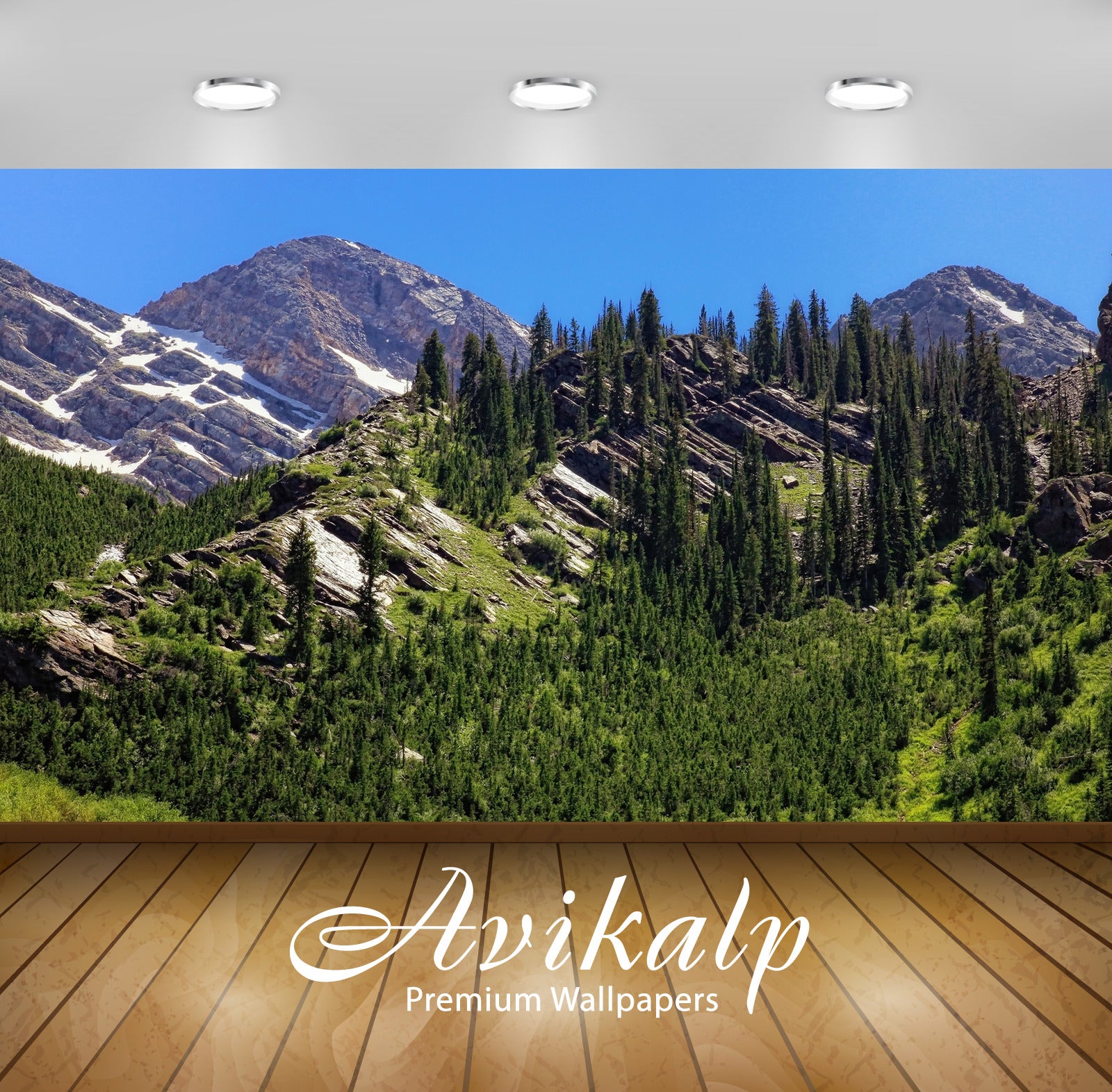 Avikalp Exclusive Awi5588 Green Trees Between The Rocky Peaks Nature Full HD Wallpapers for Living r Avikalp Exclusive Awi5588 Green Trees Between The Rocky Peaks Nature Full HD Wallpapers for Living r