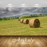 Avikalp Exclusive Awi5600 Hay Bales On The Meadow Nature Full HD Wallpapers for Living room, Hall, K Avikalp Exclusive Awi5600 Hay Bales On The Meadow Nature Full HD Wallpapers for Living room, Hall, K