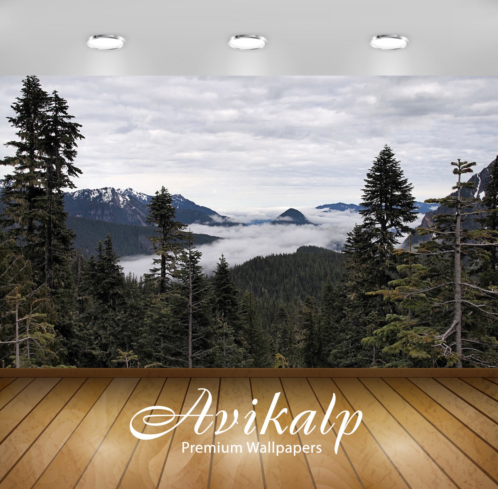 Avikalp Exclusive Awi5602 Heavy Cloud Blanket Covering The Green Forest Nature Full HD Wallpapers fo Avikalp Exclusive Awi5602 Heavy Cloud Blanket Covering The Green Forest Nature Full HD Wallpapers fo