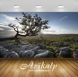 Avikalp Exclusive Awi5614 Hiltop Tree Nature Full HD Wallpapers for Living room, Hall, Kids Room, Ki Avikalp Exclusive Awi5614 Hiltop Tree Nature Full HD Wallpapers for Living room, Hall, Kids Room, Ki