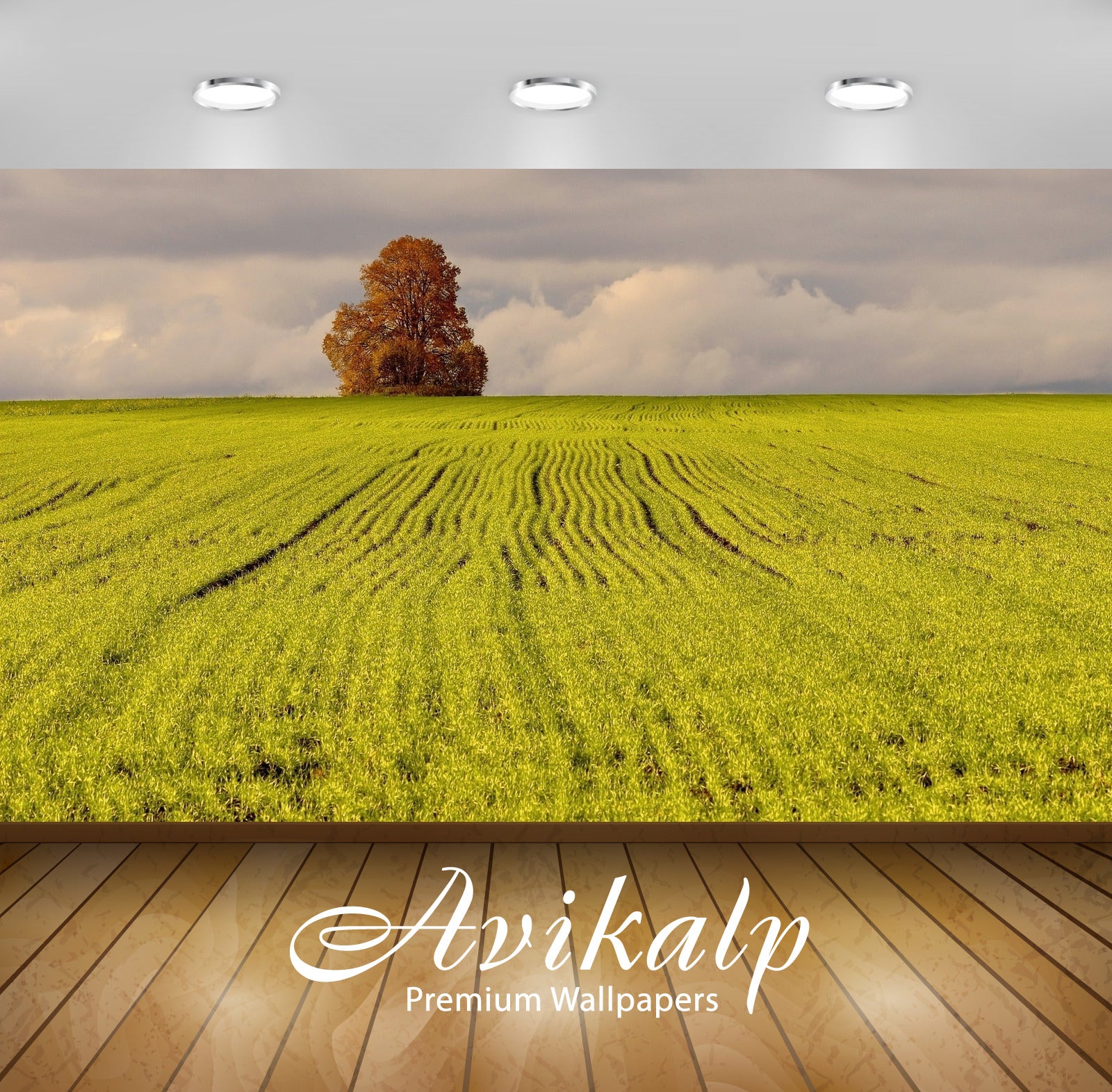 Avikalp Exclusive Awi5719 Lonesome Autumn Tree In The Green Field Nature Full HD Wallpapers for Livi Avikalp Exclusive Awi5719 Lonesome Autumn Tree In The Green Field Nature Full HD Wallpapers for Livi