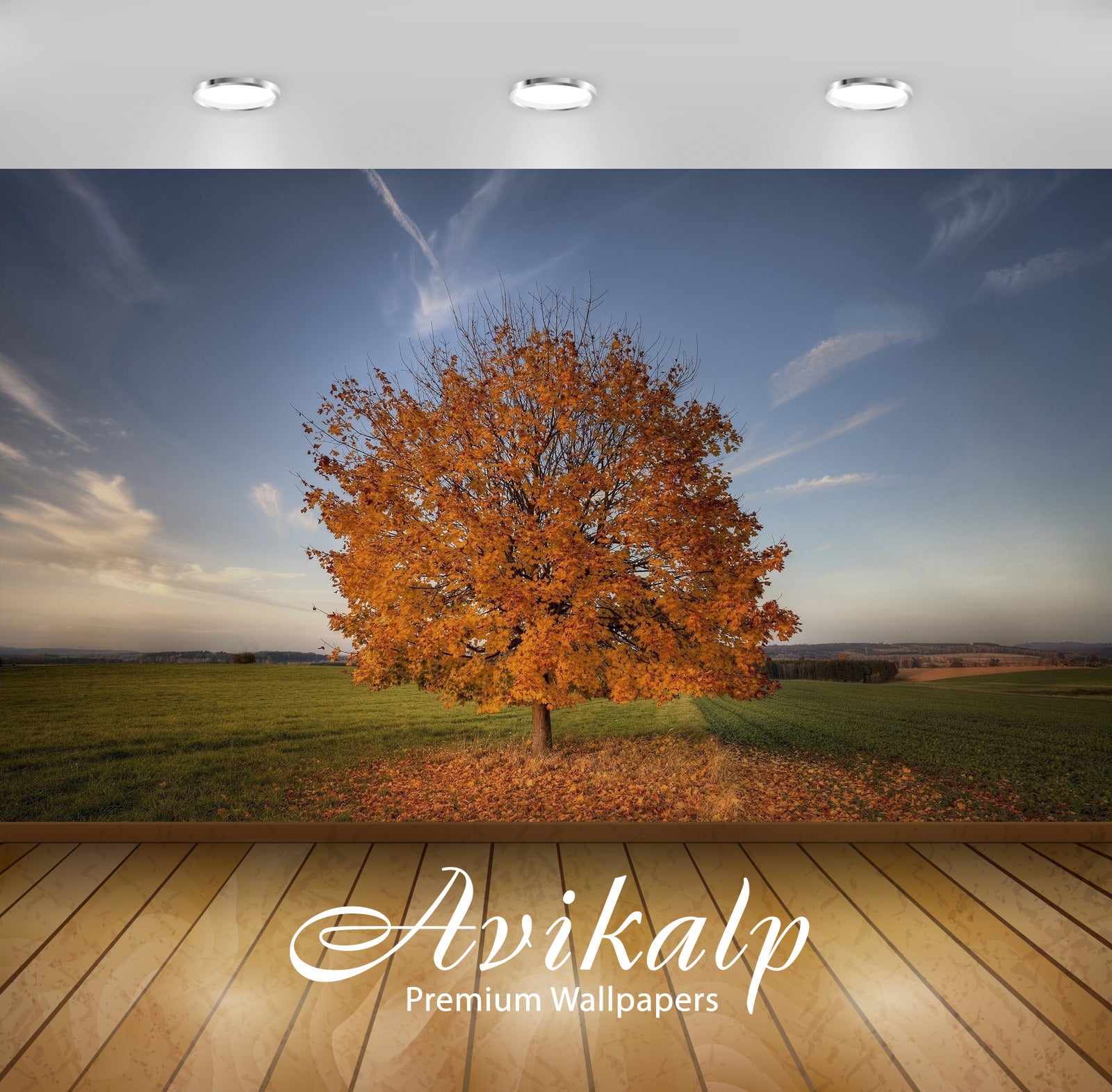 Avikalp Exclusive Awi5720 Lonesome Autumn Tree Losing Its Leaves On The Field Nature Full HD Wallpap Avikalp Exclusive Awi5720 Lonesome Autumn Tree Losing Its Leaves On The Field Nature Full HD Wallpap