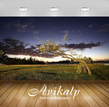 Avikalp Exclusive Awi5722 Lonesome Tree Nature Full HD Wallpapers for Living room, Hall, Kids Room, Avikalp Exclusive Awi5722 Lonesome Tree Nature Full HD Wallpapers for Living room, Hall, Kids Room,